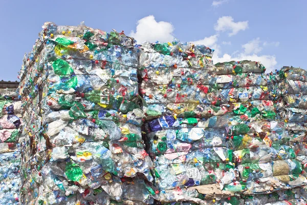 Plastic bottles pressed and packed for recycling