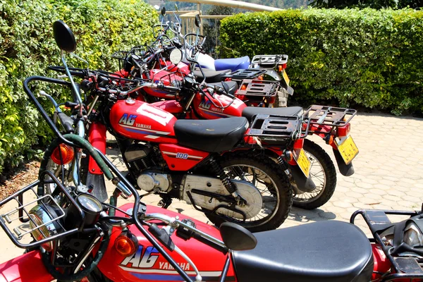 Is Boda Boda Business In Kenya Really Profitable?